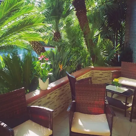 酒店 别墅酒店 4*