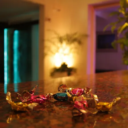 Hotel Villa